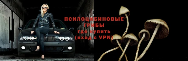 СК Ельня